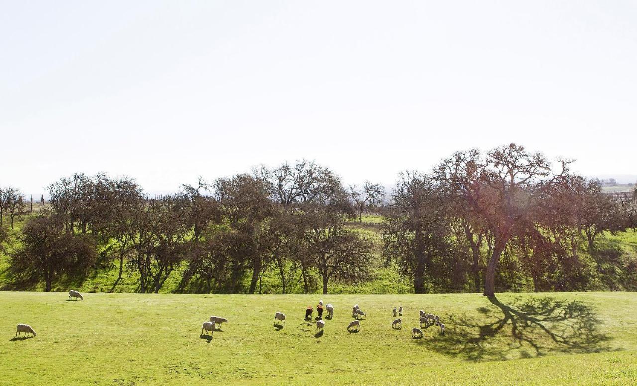 Reves De Moutons Hotel Paso Robles Exterior foto